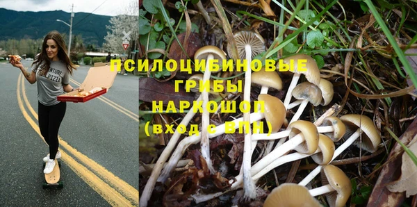 МДПВ Кукмор