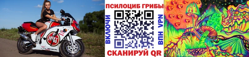 Галлюциногенные грибы Psilocybine cubensis  блэк спрут зеркало  Костерёво 